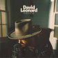 Every Hour - David Leonard